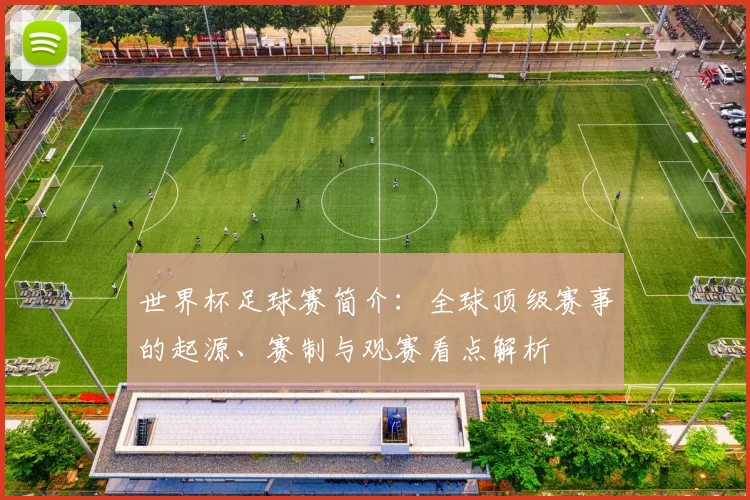世界杯足球赛简介：全球顶级赛事的起源、赛制与观赛看点解析