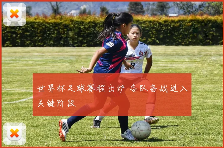 世界杯足球赛程出炉 各队备战进入关键阶段