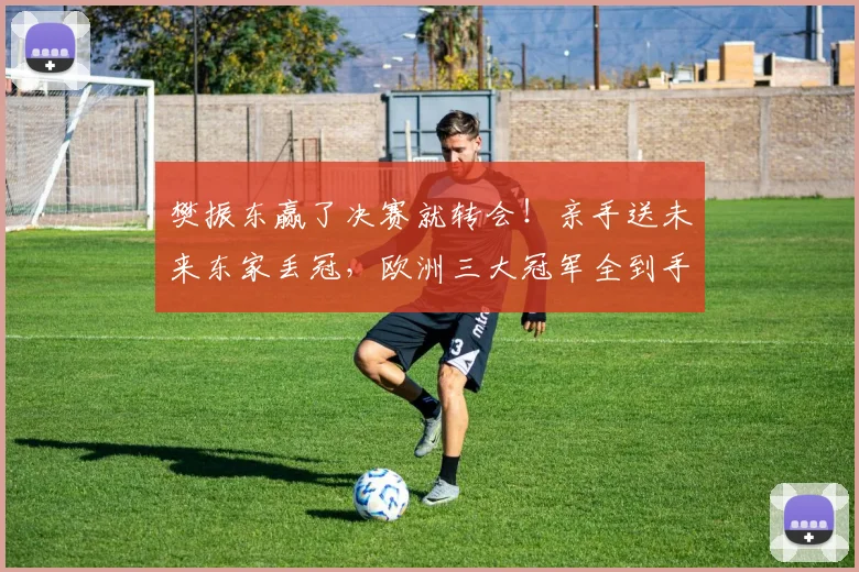 樊振东赢了决赛就转会！亲手送未来东家丢冠，欧洲三大冠军全到手