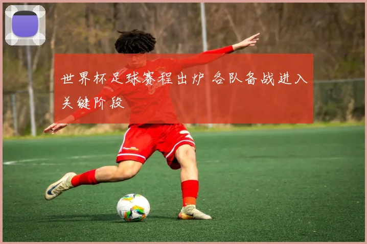 世界杯足球赛程出炉 各队备战进入关键阶段