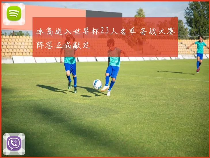 冰岛进入世界杯23人名单 备战大赛阵容正式敲定