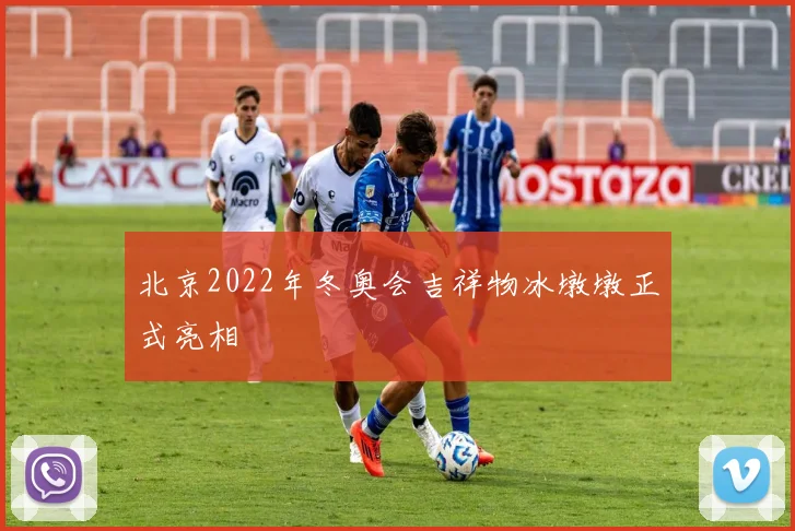 北京2022年冬奥会吉祥物冰墩墩正式亮相
